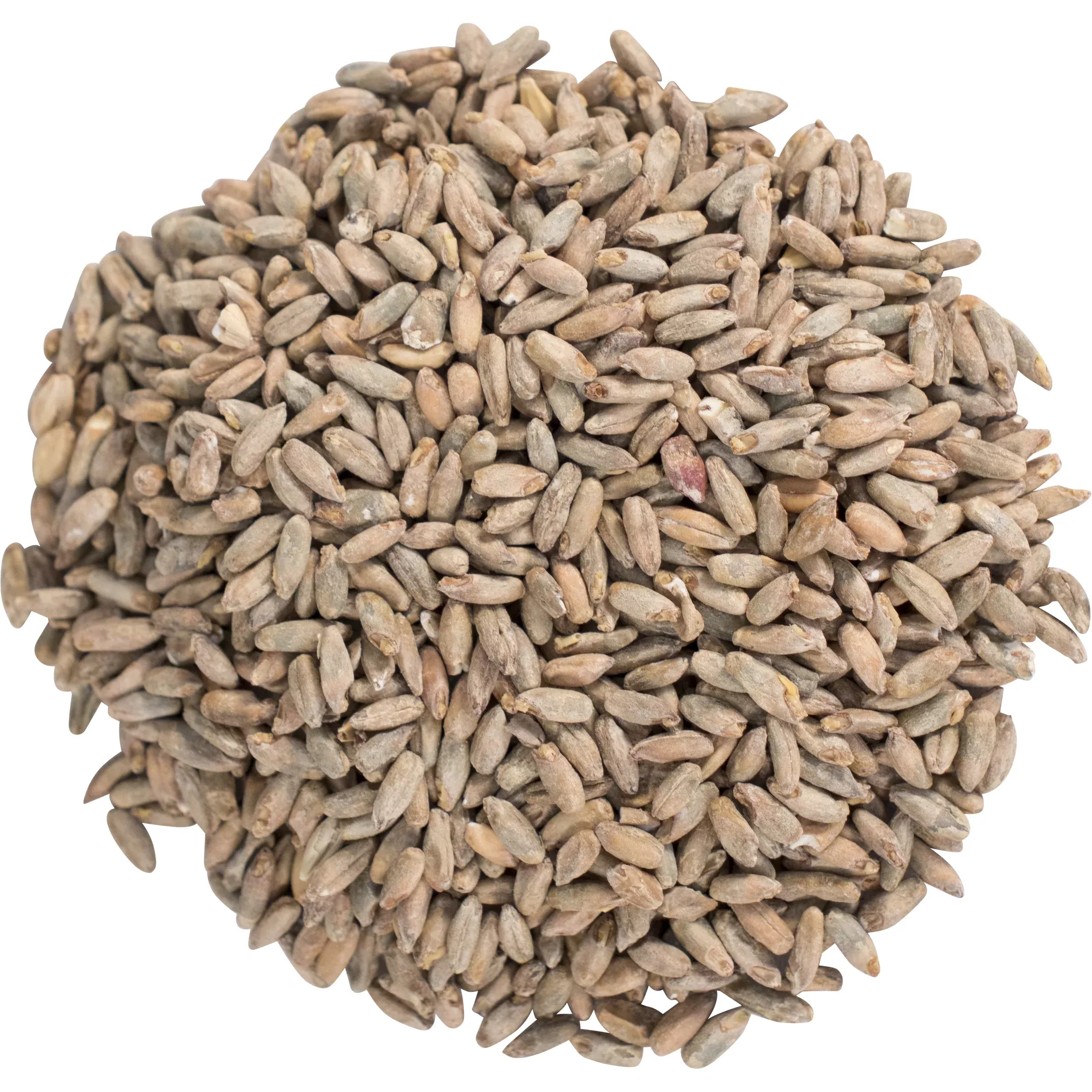 Malted Rye - Briess Malting