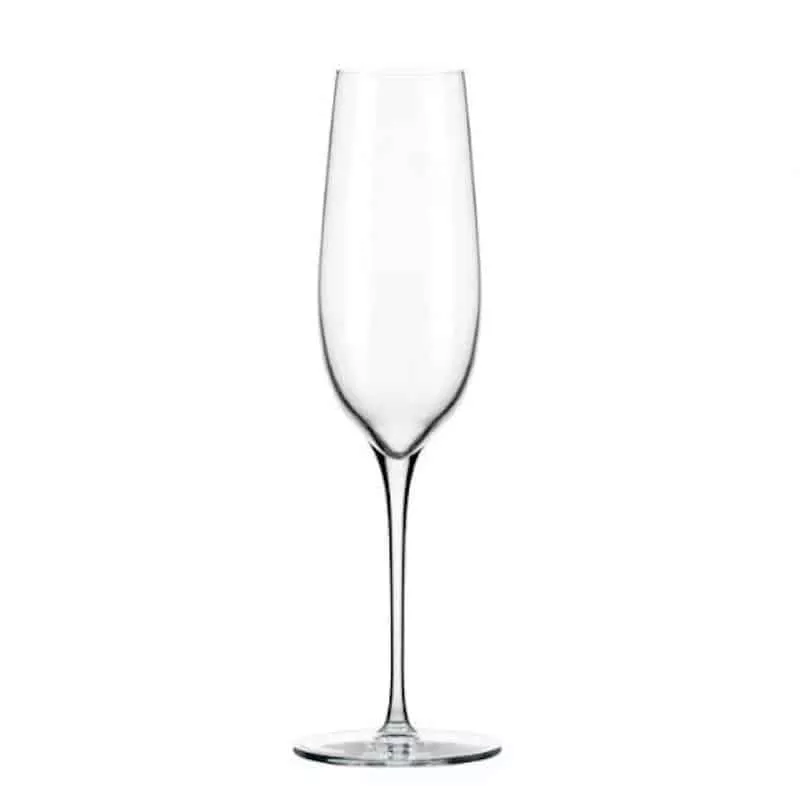 MODERN CHAMPAGNE FLUTE